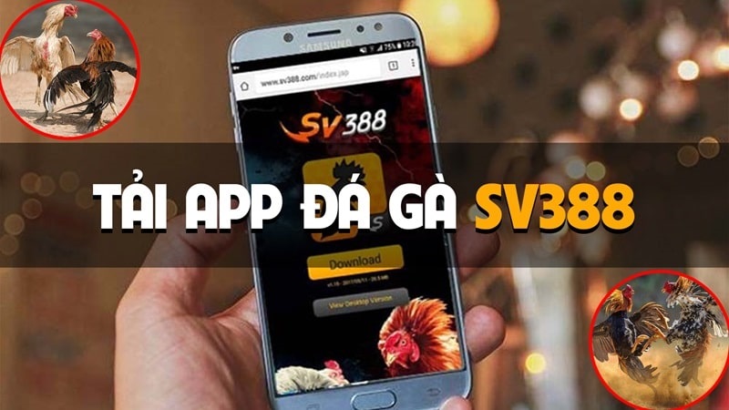 Hướng dẫn tải App SV388 về Android tối ưu tiện ích